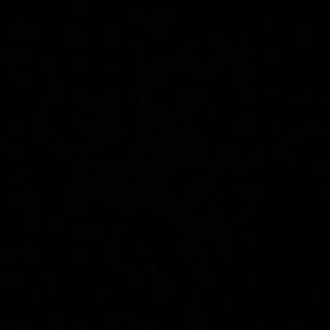 Shipping for grey xo blanket for Alexis Parra